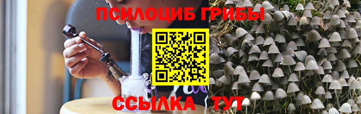 Псилоцибиновые грибы GOLDEN TEACHER Орёл